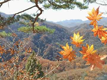 枣庄山亭车祸最新